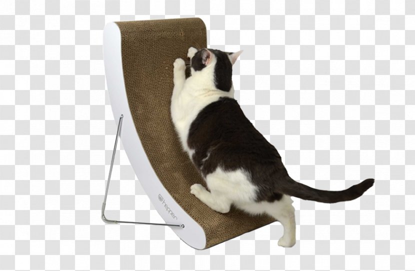 Cymric Scratching Post Manx Cat Tree Mouse - Furniture Transparent PNG
