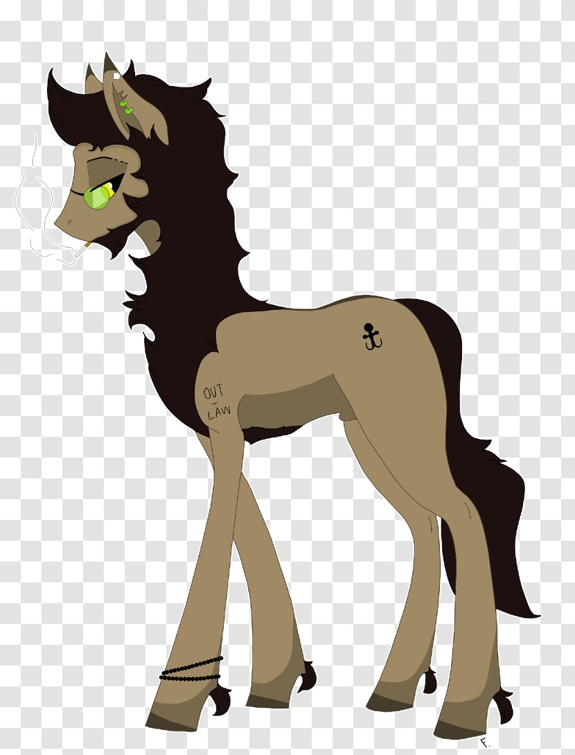 Pony Mustang Foal Colt Stallion - Horse Transparent PNG