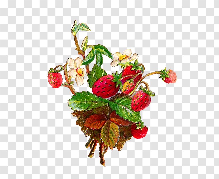 Wild Strawberry Pie Fruit Clip Art - Raspberry - Vintage Flower Transparent PNG