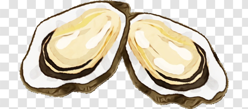 Oyster Food Legume Bivalve Transparent PNG