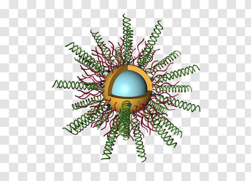 Insect Christmas Ornament Font - Invertebrate - Biomedical Engineering Transparent PNG