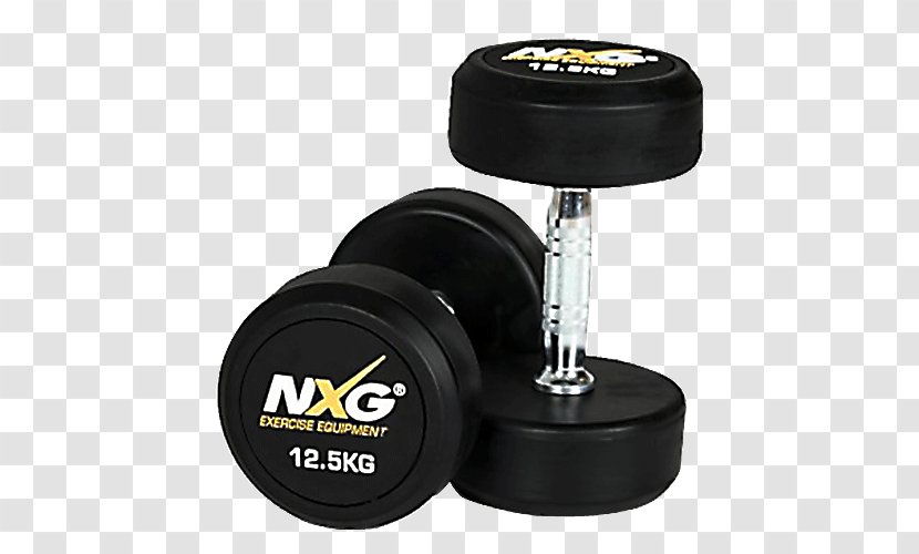 Dumbbell Sporting Goods Bench Pro-style Offense Exercise Equipment - Weight Training Transparent PNG