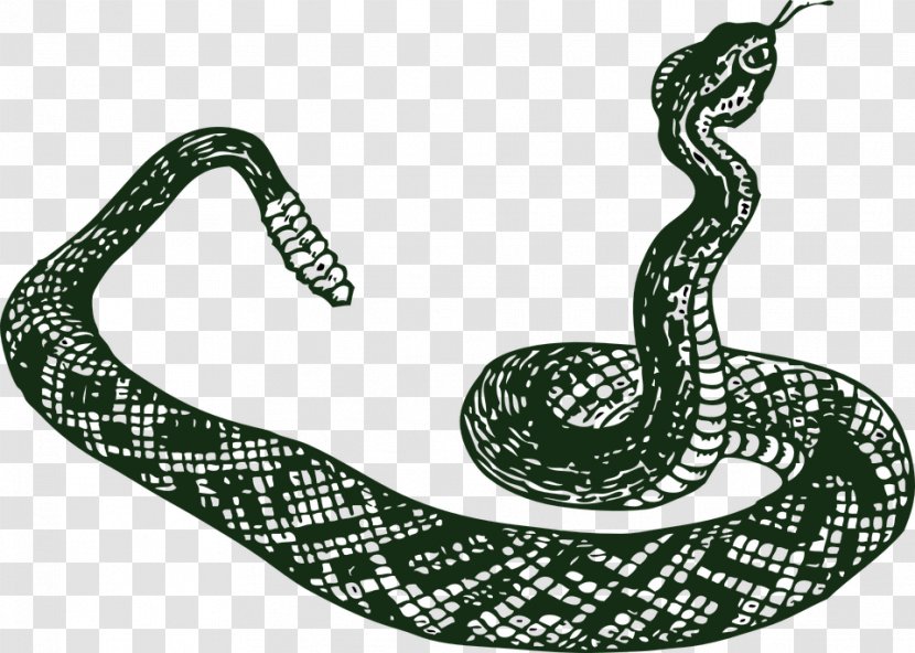 Rattlesnake Vipers Clip Art - Snake - Anaconda Transparent PNG