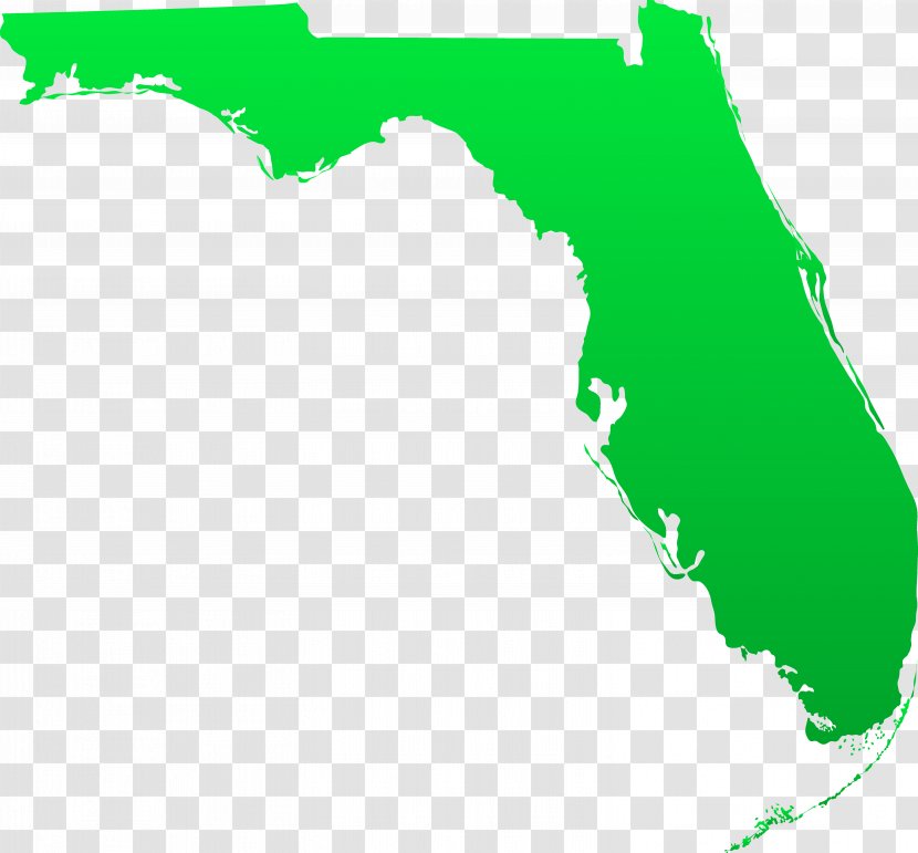 Florida State University U.S. Court Map Clip Art - Law - Cliparts Transparent PNG