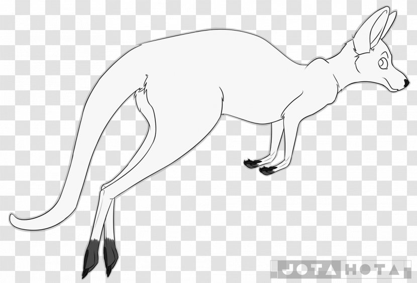 Fox Kangaroo Macropodidae Line Art Drawing - Silhouette Transparent PNG
