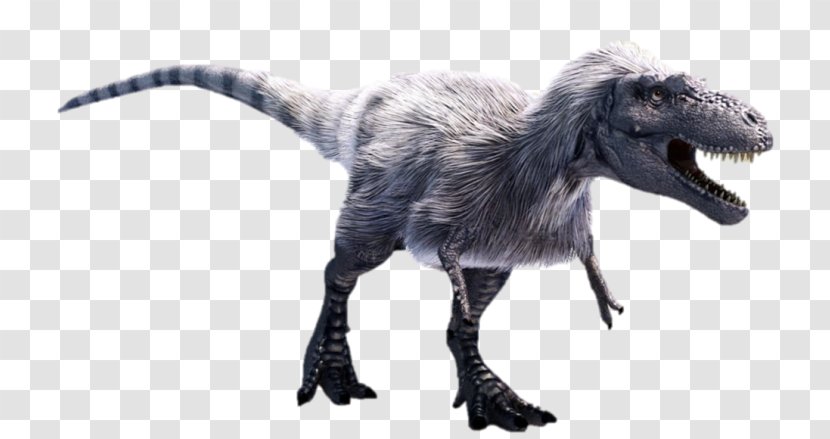Albertosaurus Tyrannosaurus Daspletosaurus Gorgosaurus Nanotyrannus - Feathered Dinosaur Transparent PNG