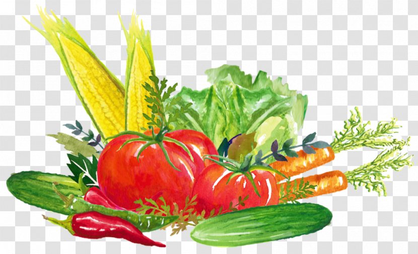 Tomato Organic Food Vegetarian Cuisine Leaf Vegetable - Miraclegro Transparent PNG