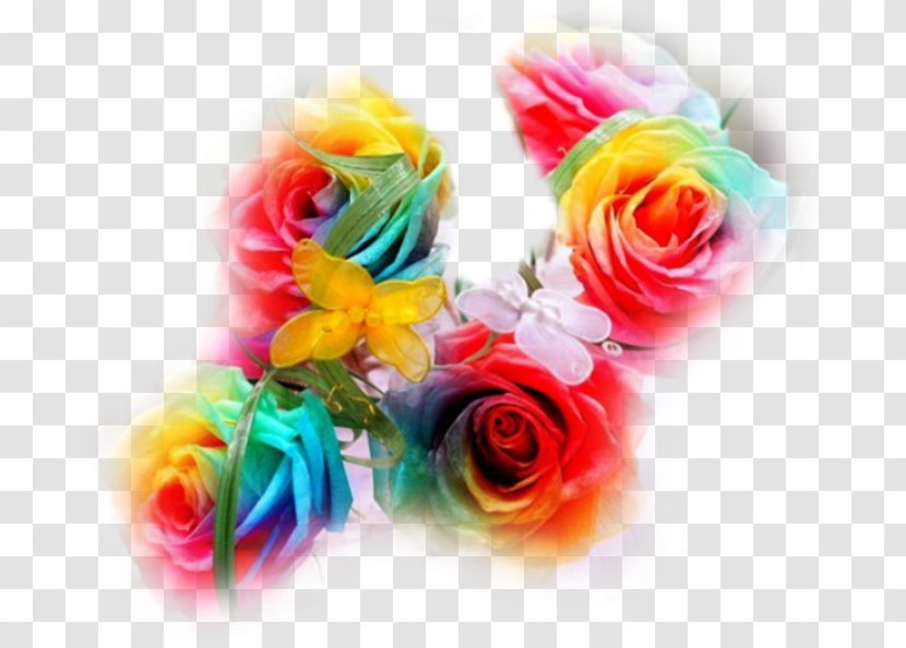 Rainbow Rose Garden Roses Cut Flowers - Flower Bouquet Transparent PNG