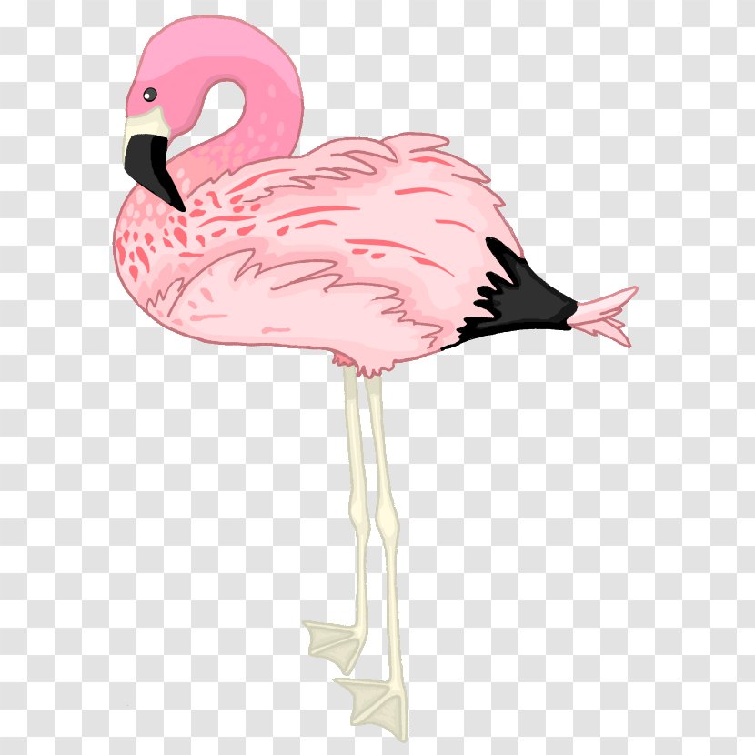 Flamingo Drawing Clip Art - Transparency And Translucency Transparent PNG