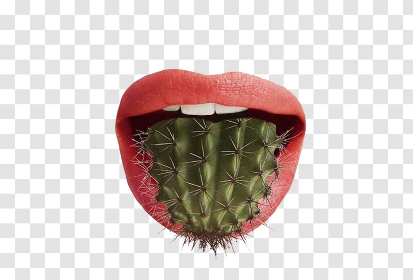 Pun Graphic Design Food Art - Drawing - Cactus Tongue Transparent PNG