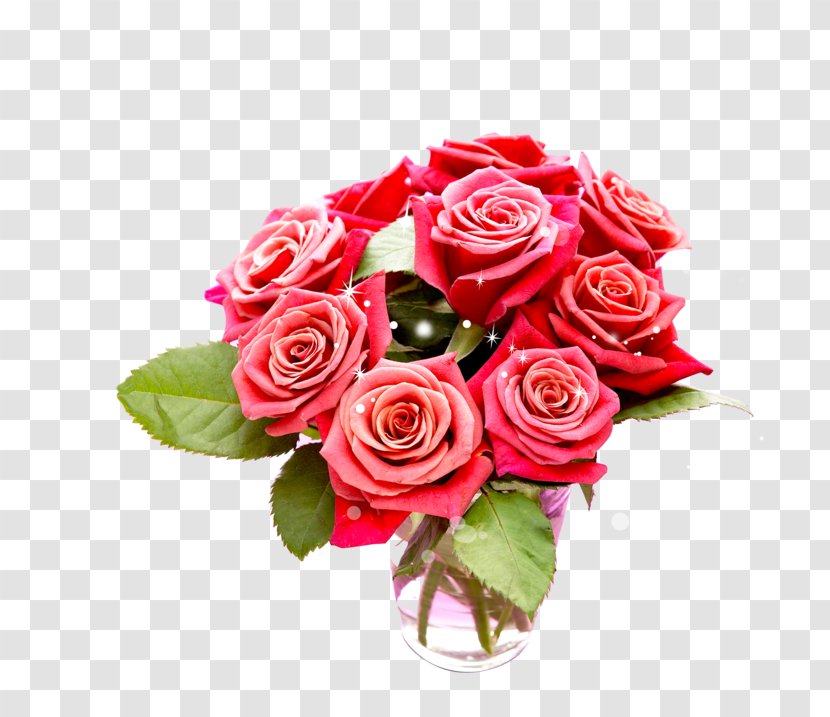 Birthday Desktop Wallpaper Flower - Rosa Centifolia Transparent PNG
