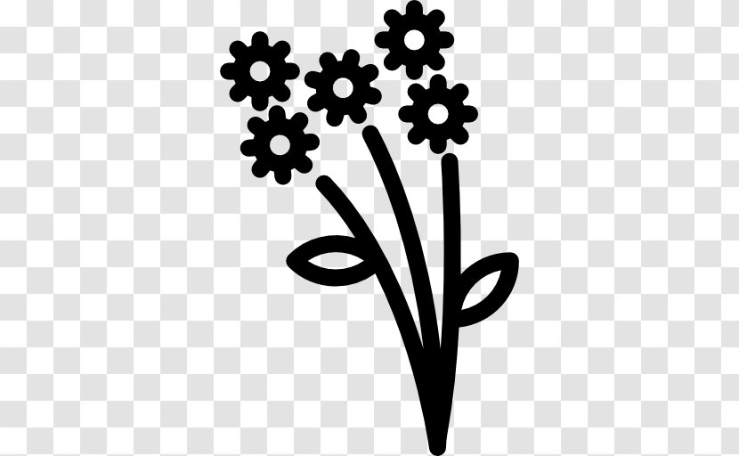 Clip Art - Flowering Plant - Flower Transparent PNG