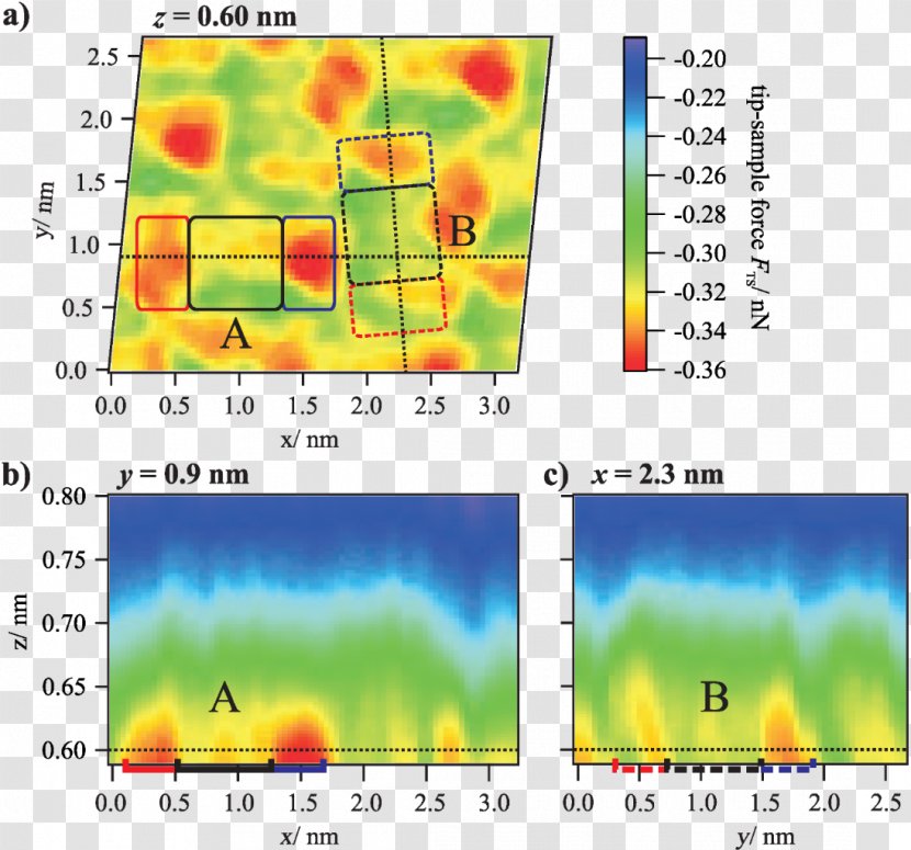 Perylenetetracarboxylic Dianhydride Molecule Non-contact Atomic Force Microscopy Adsorption - Snake Scale Transparent PNG