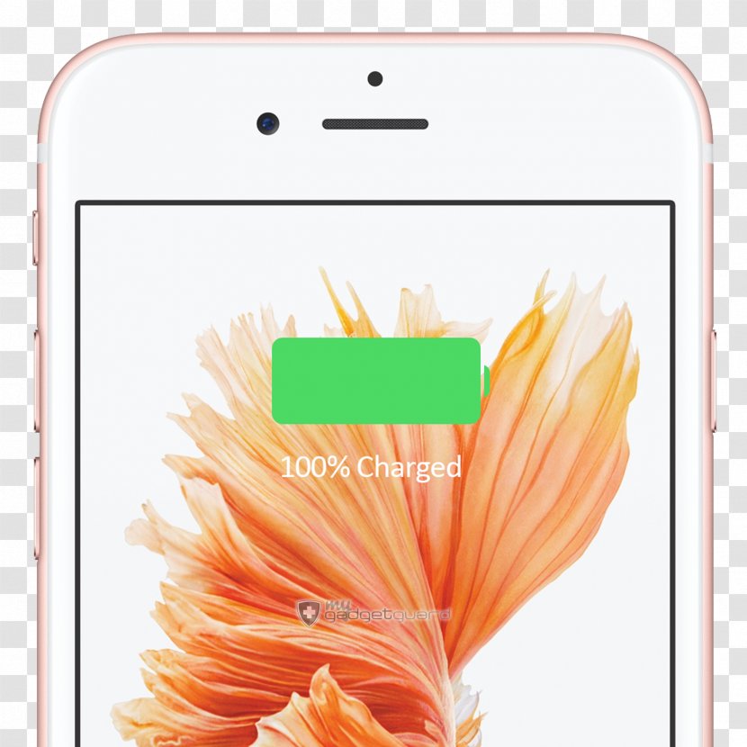 IPhone 6s Plus IPod Touch 7 Apple - Feather Transparent PNG