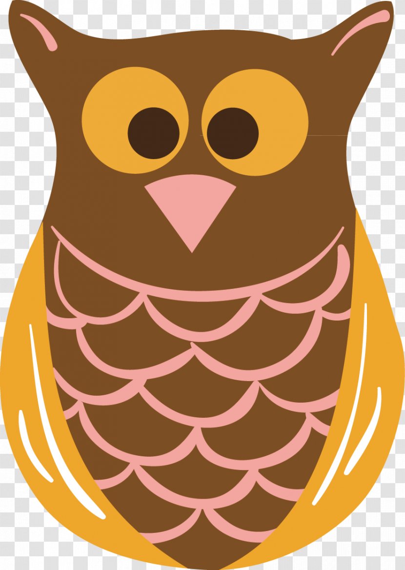 Owl Bird Illustration - Photography Transparent PNG