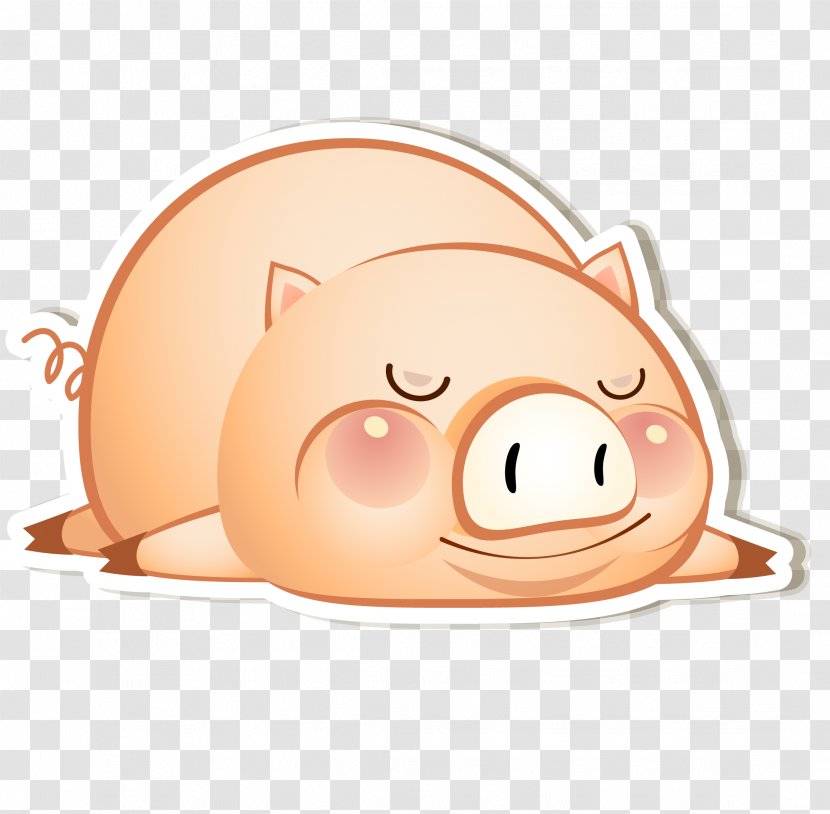 Domestic Pig Cartoon Clip Art - Tummy Vector Transparent PNG