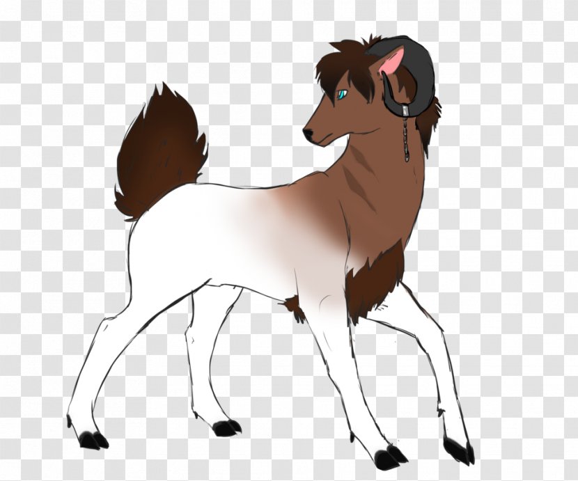 Mustang Cattle Dog Pack Animal Mammal - Horse Transparent PNG