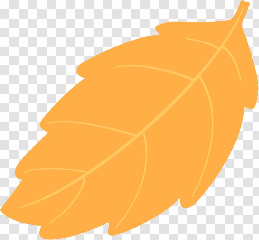 Autumn Leaf Fallen Dead - Deciduous Peruvian Groundcherry Transparent PNG