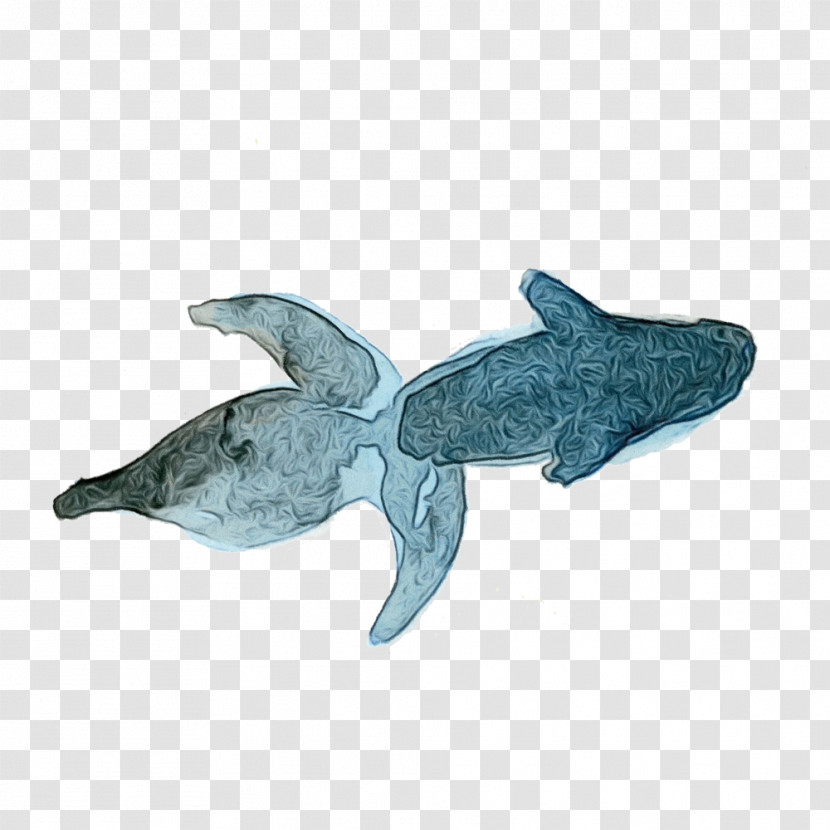 Shark Transparent PNG