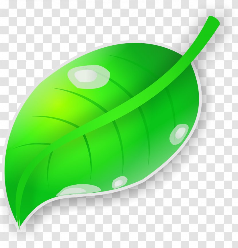 Leaf CorelDRAW - Plant - Green Vector Transparent PNG