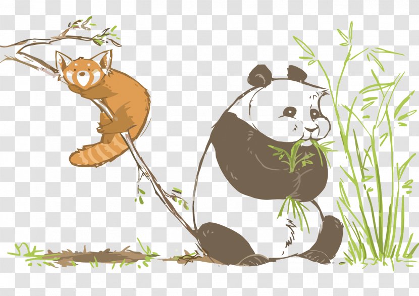 Bear Giant Panda Red Illustration - Cartoon - Vector And Transparent PNG