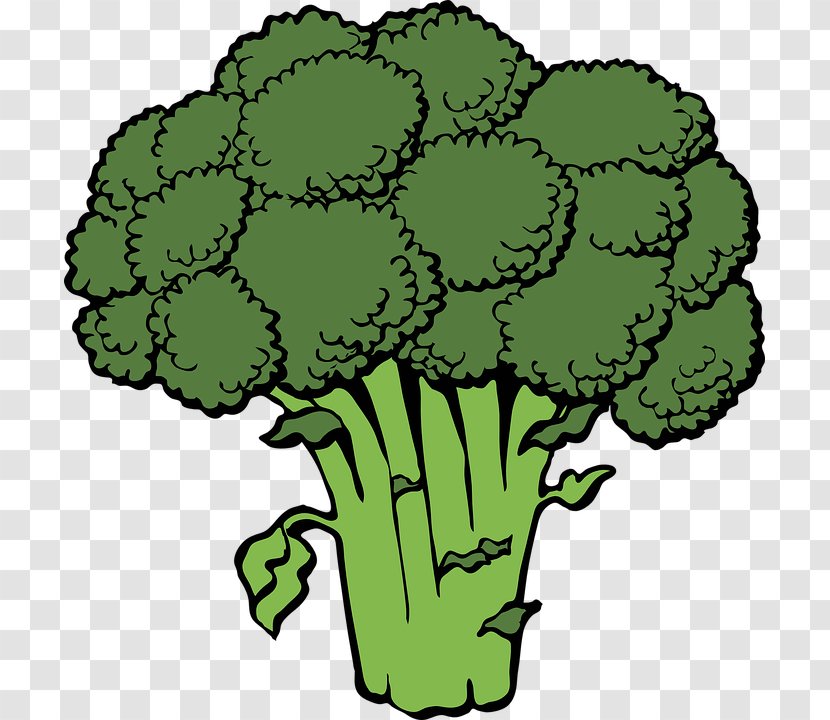 Broccoli Slaw Vegetable Clip Art - Cauliflower,vegetables,Green Transparent PNG