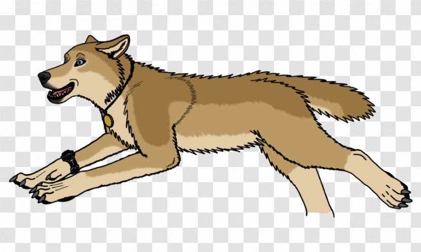 Gray Wolf Animation Clip Art - Paw - Painted Transparent PNG