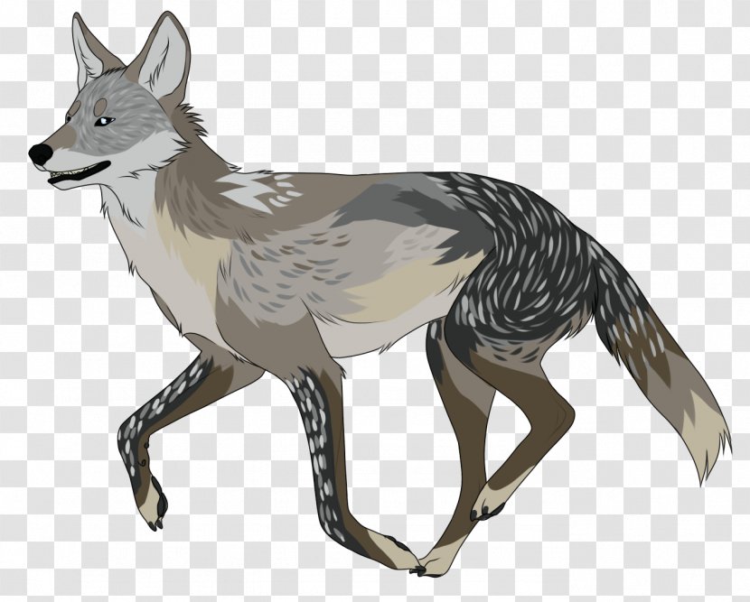 Red Fox Jackal Fauna Fur Pet - Wildlife - Armageddon Artwork Transparent PNG