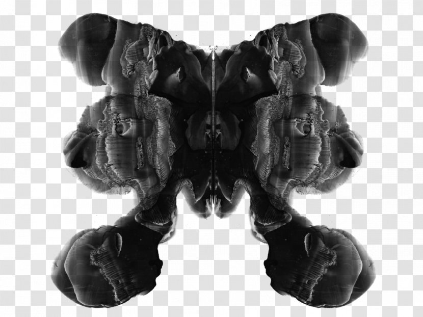 Rorschach Test Ink Blot Flowers For Algernon - Black And White Transparent PNG