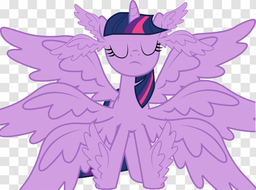 Twilight Sparkle Pony Rainbow Dash Winged Unicorn - Frame - Savior Transparent PNG