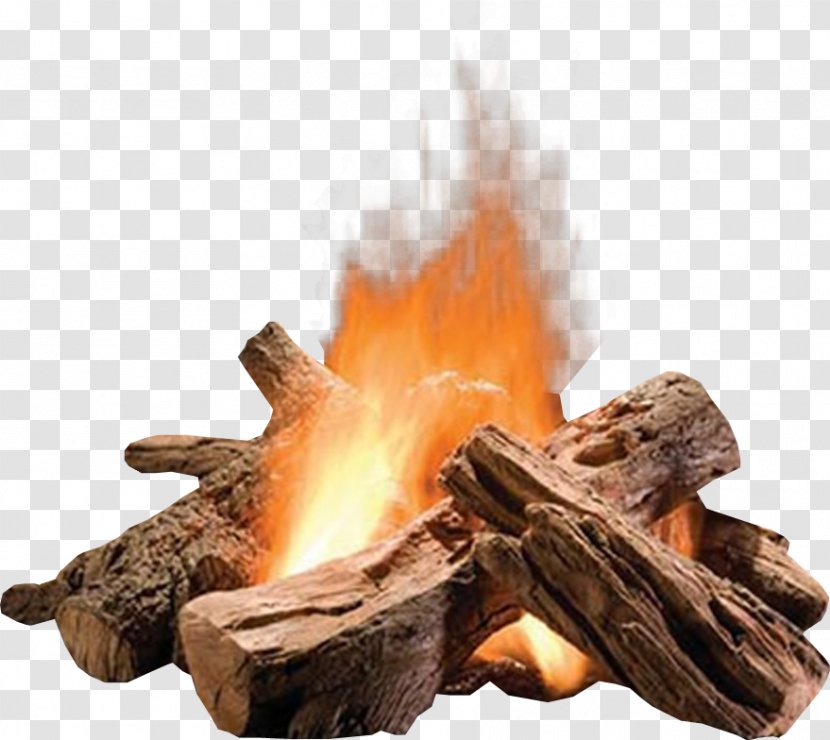 Fire Pit Fireplace Gas Log Vented - Plant - Summer Water Wood Campfire Transparent PNG