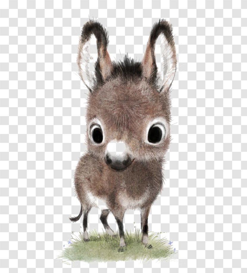 Drawing Cuteness Animal Illustration - Cartoon - Donkey Transparent PNG