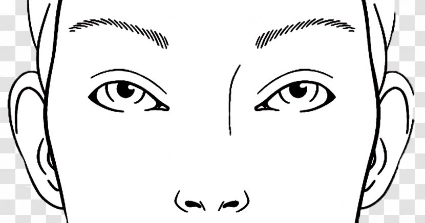 Face Chart Cosmetics Drawing - Tree Transparent PNG