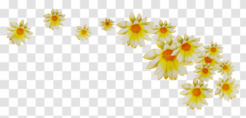 Chrysanthemum Yellow Floral Design Sunflower - Daisy - Mayweed Transparent PNG