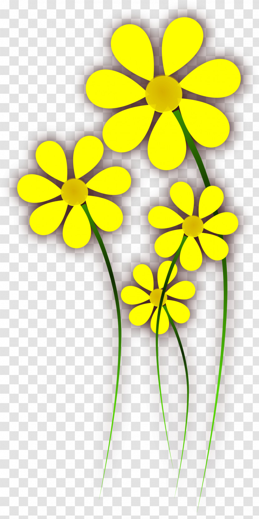 Yellow Flower Plant Petal Pedicel Transparent PNG