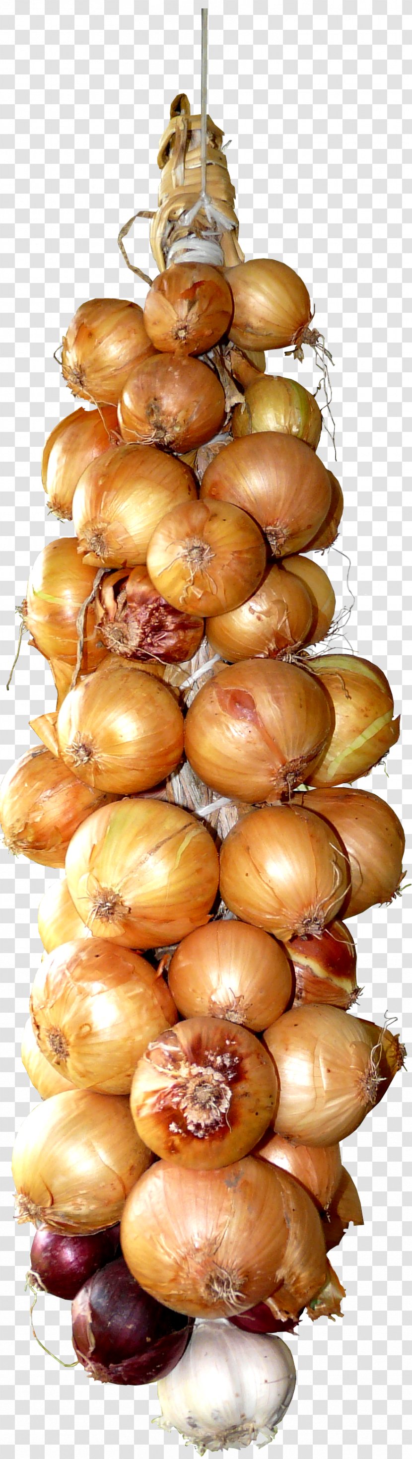 Garlic Onion Food Vegetable Transparent PNG
