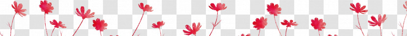 Pink Red Petal Close-up Plant Transparent PNG
