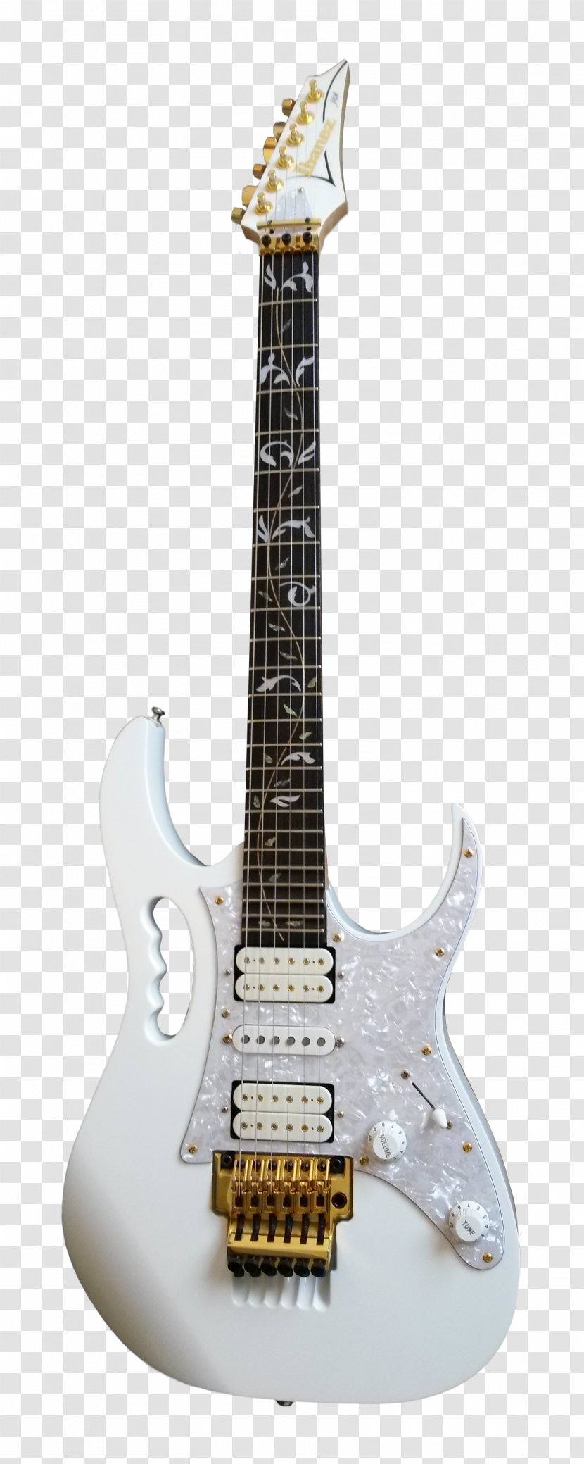 Fender Stratocaster Ibanez JEM Superstrat Jackson Soloist - Neck - Guitar Transparent PNG