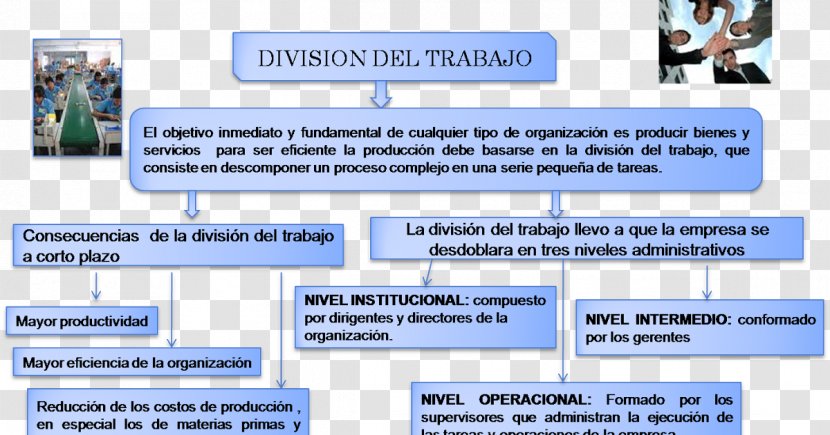 Division Of Labour Business Administration Labor Production Internationale Du Travail - Text - Gregory's Pest Control Transparent PNG