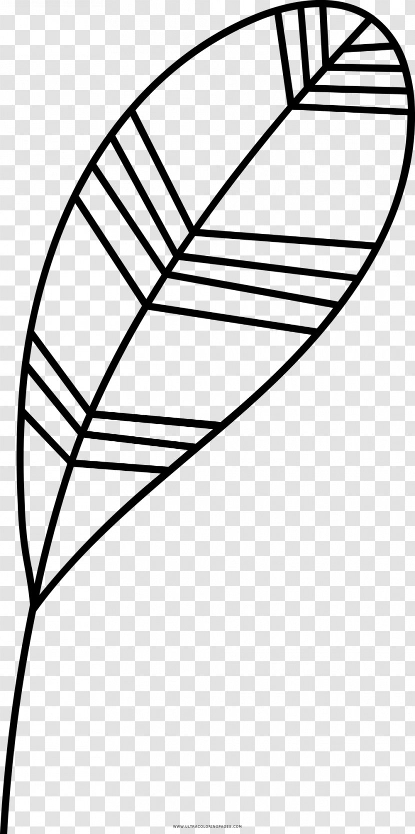 Drawing Coloring Book - Plant - Folha Transparent PNG