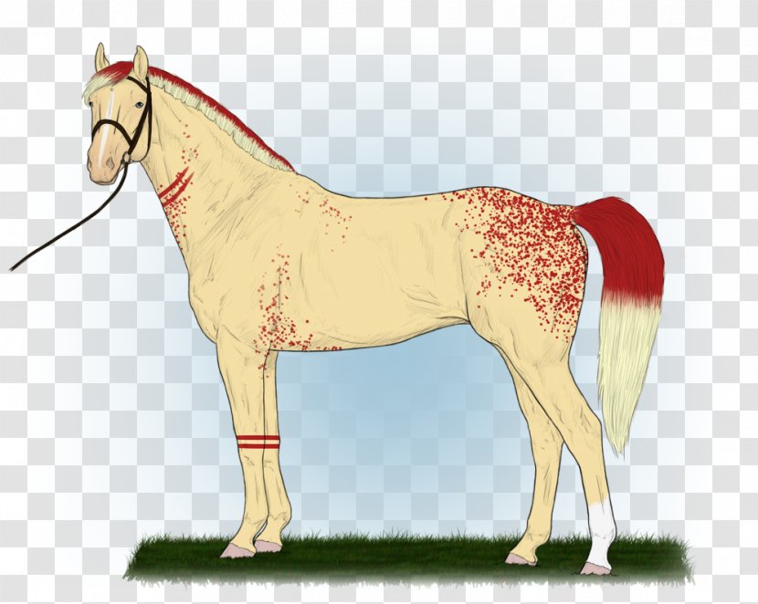 Mustang Stallion Foal Pony Mare - Horse Supplies - Bloodstained Bandage Transparent PNG