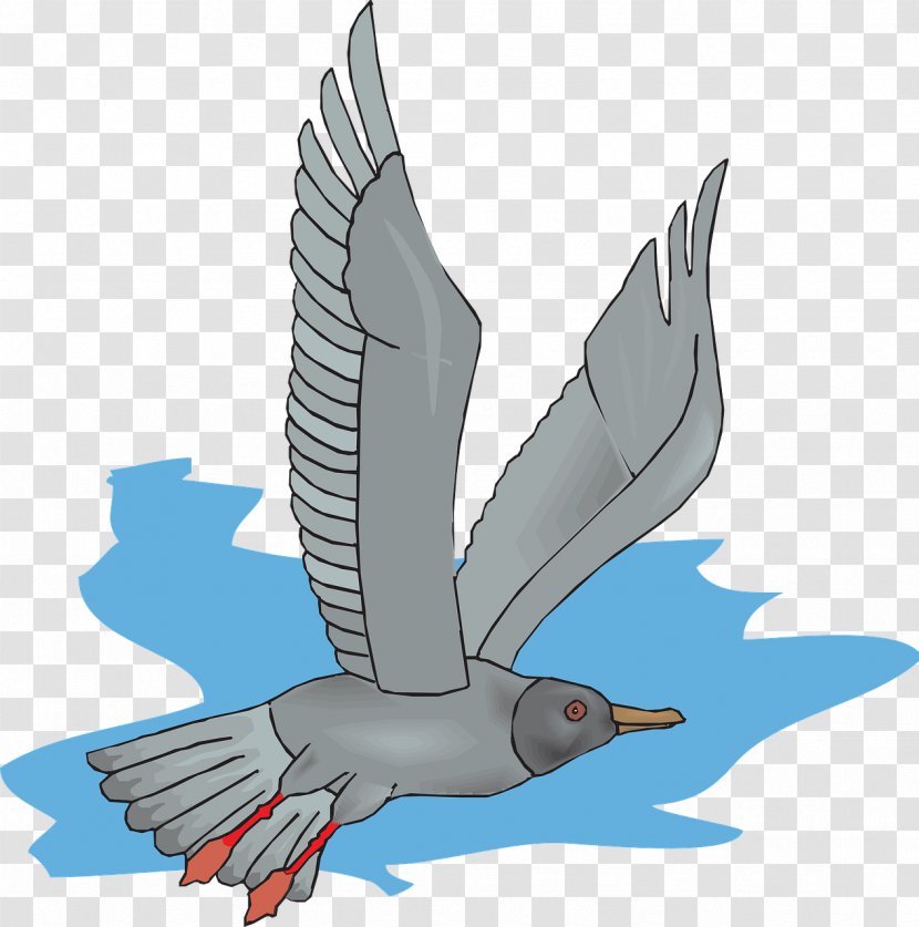 Bird Gulls Flight Clip Art - Wing - Gull Transparent PNG