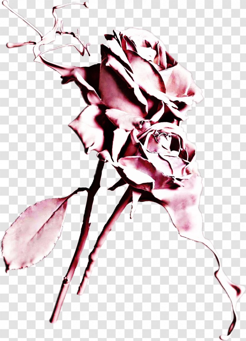 Pink Flowers Rose Pastel Photography - Twig Transparent PNG