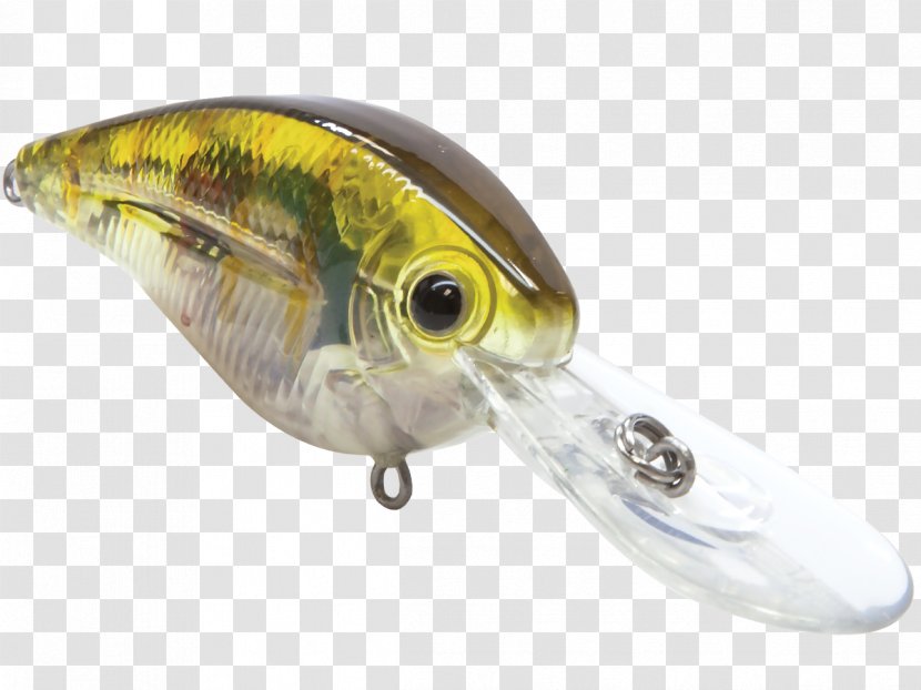 Perch Fishing Baits & Lures Oily Fish Livingston Transparent PNG