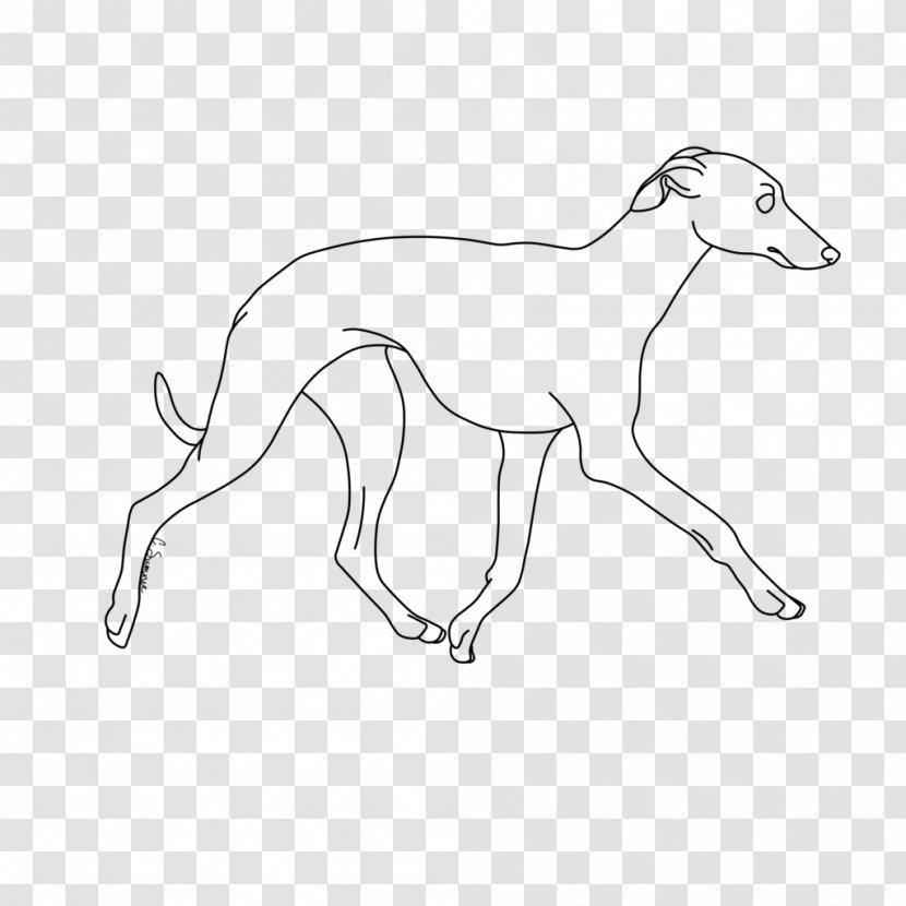 Whippet Italian Greyhound Line Art Dog Breed Drawing - Like Mammal Transparent PNG