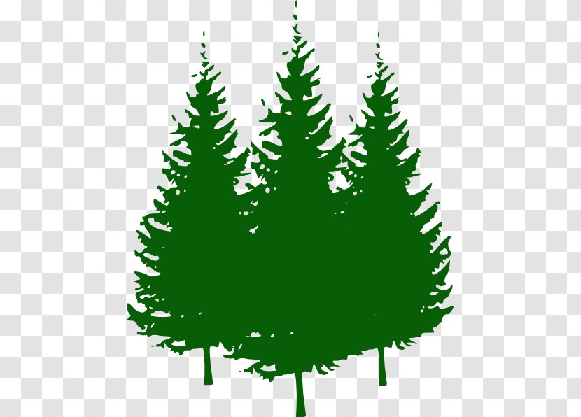 Pine Tree Clip Art - Plant - Cliparts Free Transparent PNG