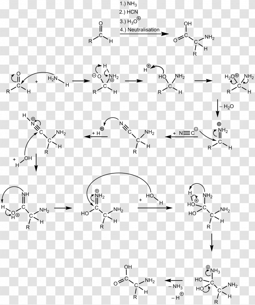 Strecker Amino Acid Synthesis Chemical Cyanide Reaction Hydrolysis - Cyanohydrin Transparent PNG