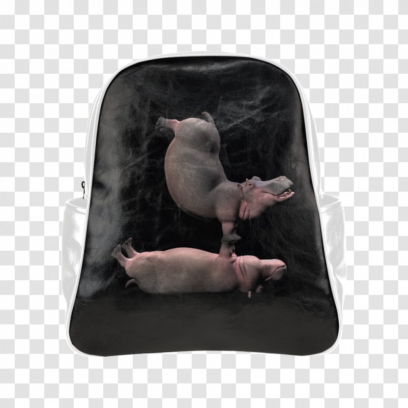 Pig Snout - Have Fun Together! Transparent PNG