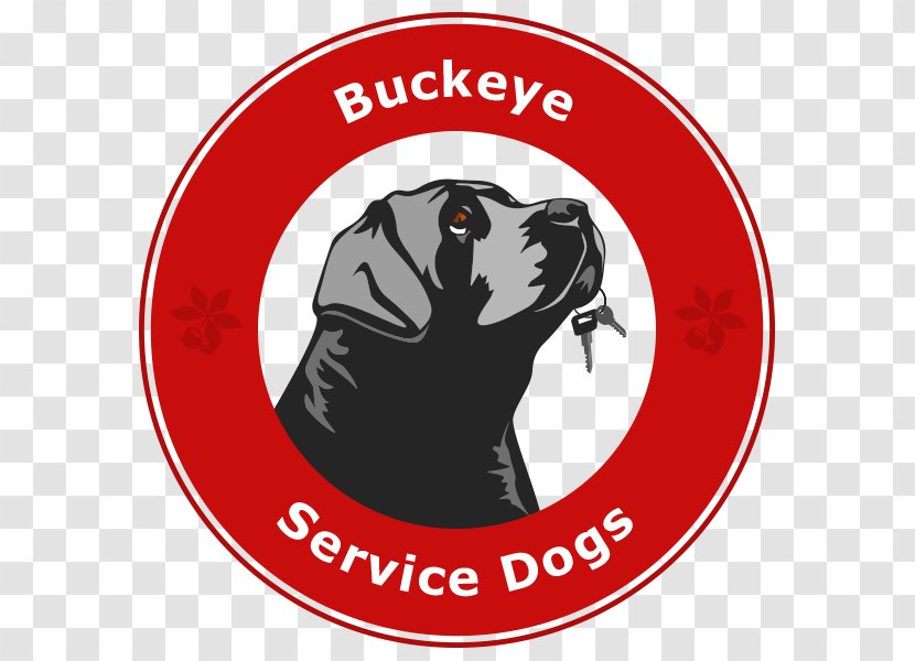 Malinois Dog Psychiatric Service Training Central Ohio Dogs - Assistance - Train G Transparent PNG
