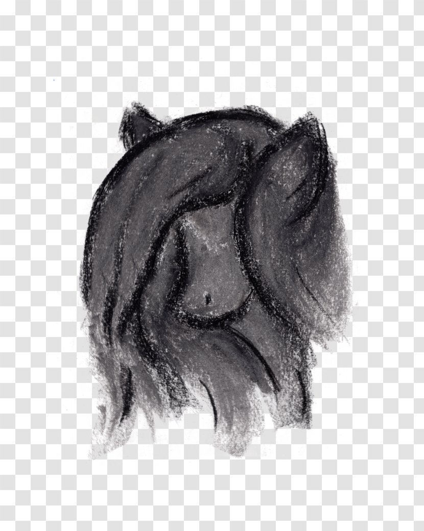 Dog Breed Snout Drawing Sketch - Head Transparent PNG